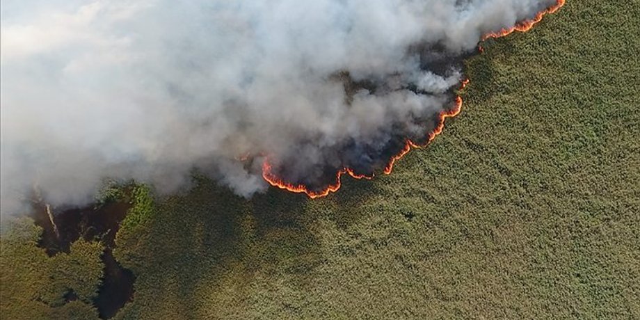 Фото: ВВС