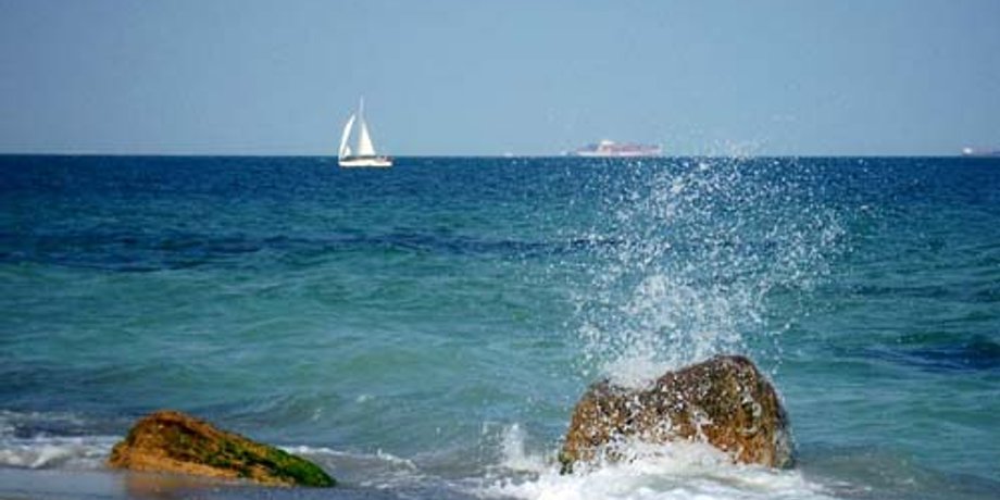 море