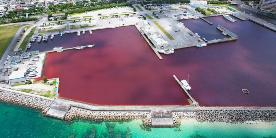 Море в Японии, море стало красным, море, вода, пиво, завод, река, Наго, курорт, чистая вода, утечка химикатов,