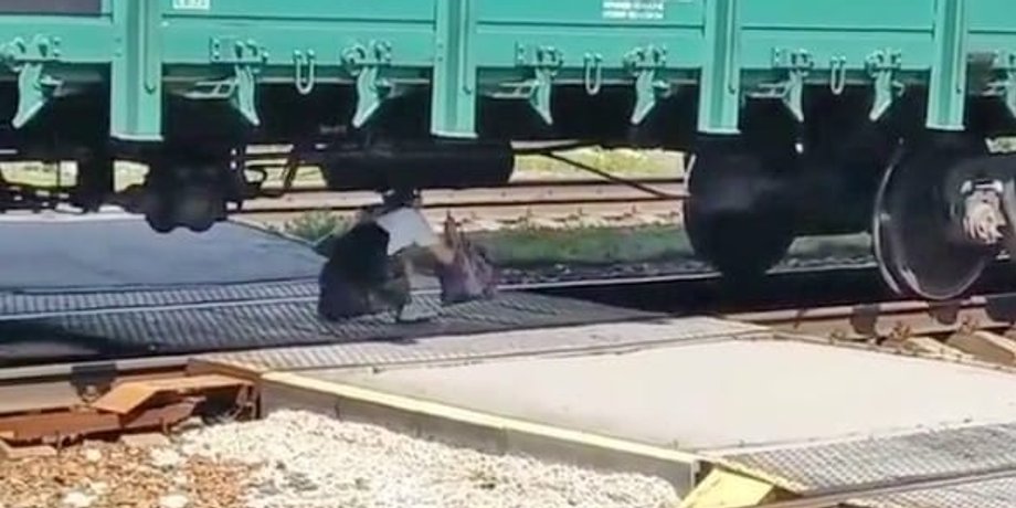 Люди под поездом