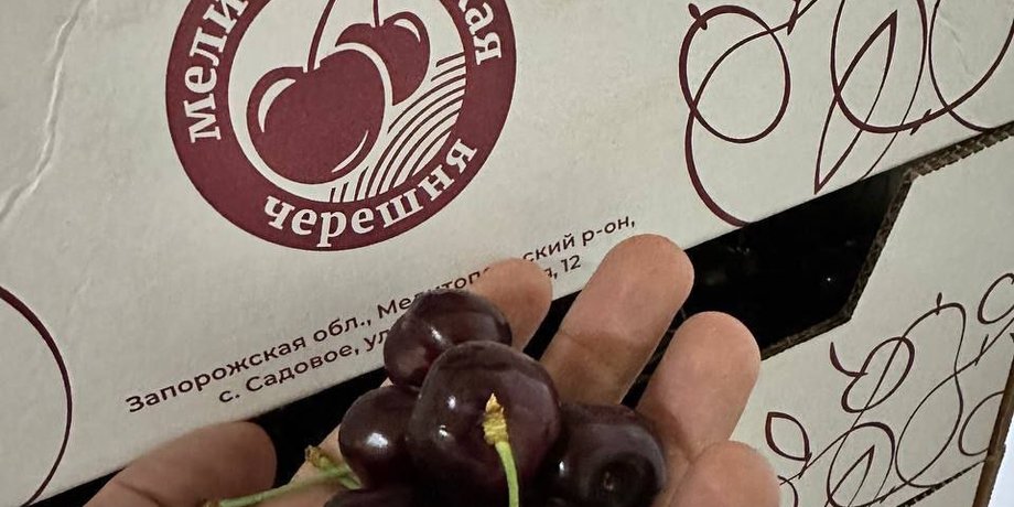 мелітопольська черешня, ягода, запорізька область