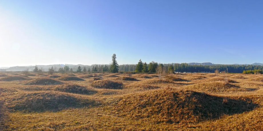 кургани, кургани міма
