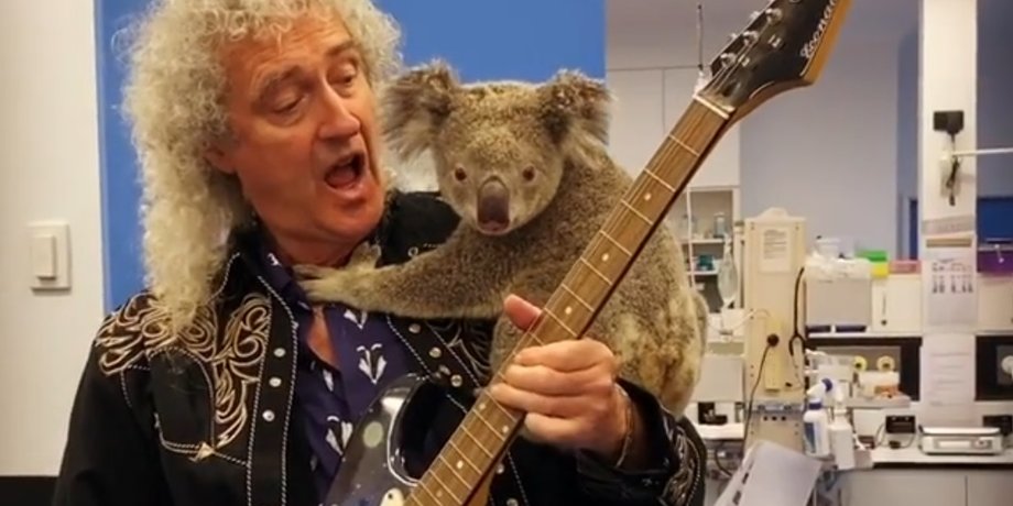 Фото: Instagram brianmayforreal