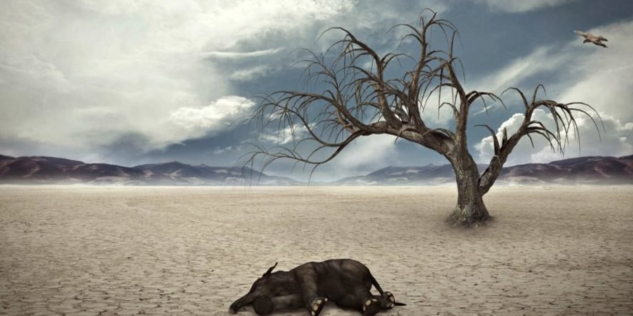 Фото: Inhabitat