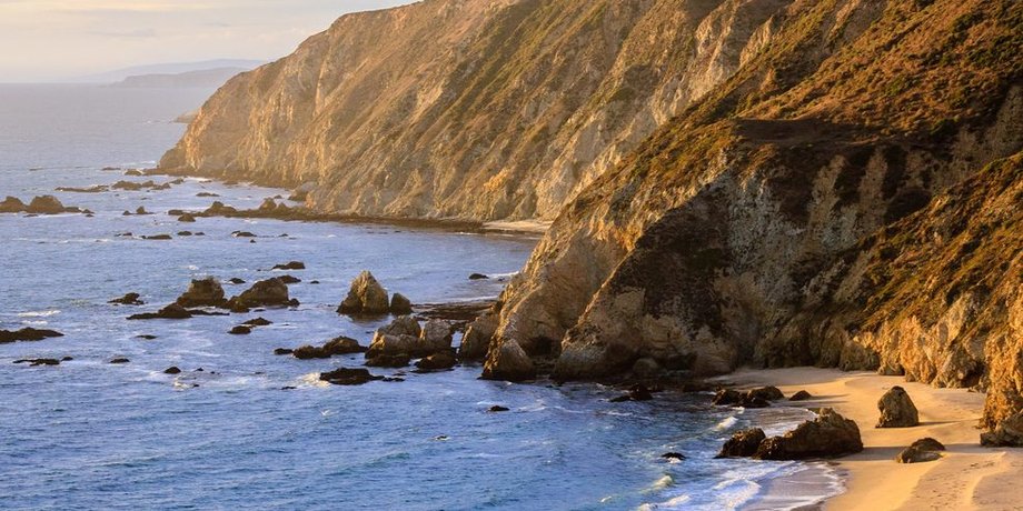 Фото: Point Reyes National Seashore/Facebook
