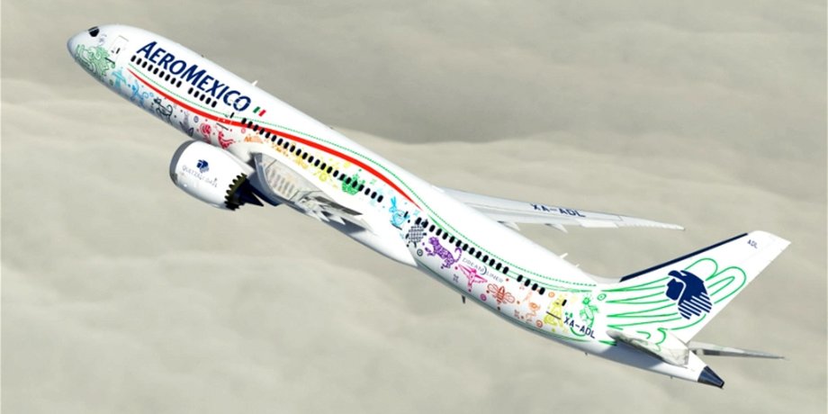 Літак, авіакомпанія Aeromеxico, пологи під час польоту, пологи в літаку, безкоштовні польоти, безкоштовні перельоти, лікар, курйози