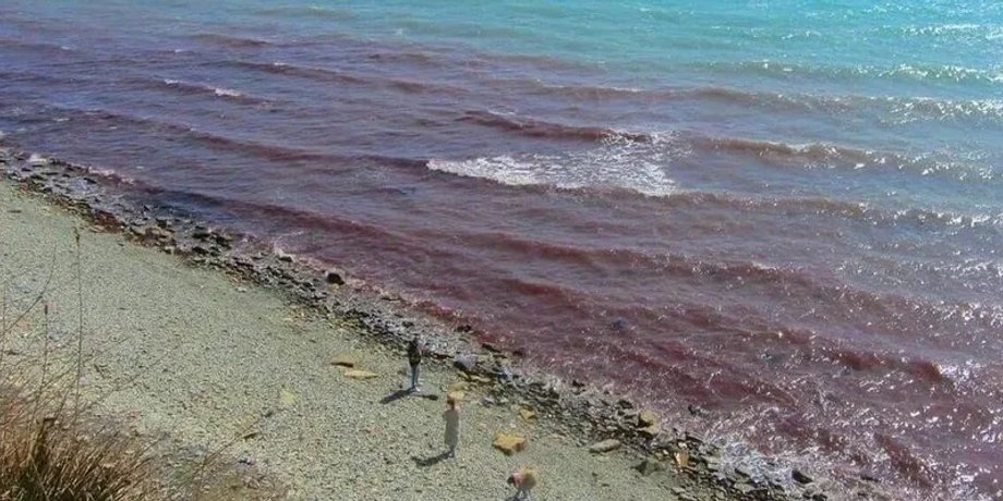 Анапа красная вода