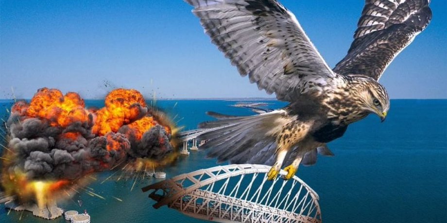 птах, археологія, дослідження, вимирання, скам’янілість, орел гаффа