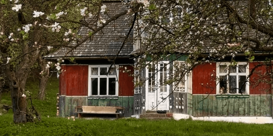 Хата в Карпатах Жінка купила 100-річну хату