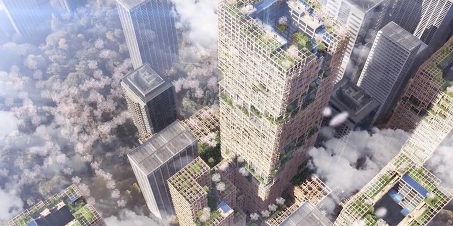 Иллюстрация: Sumitomo Forestry