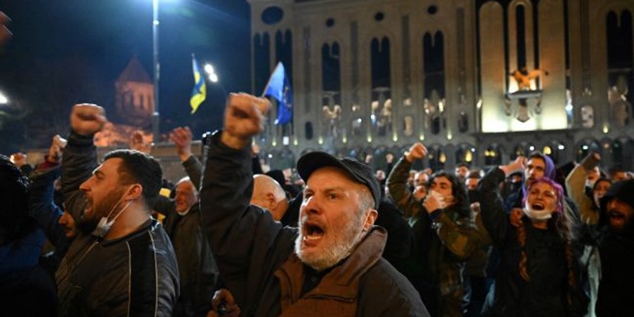 Грузия, протест, закон об иноагентах, гимн украины, митинг