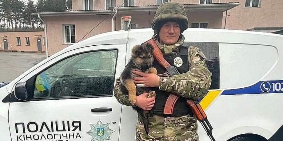 щеня Байрактар