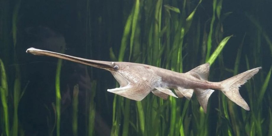 Фото: Handout
