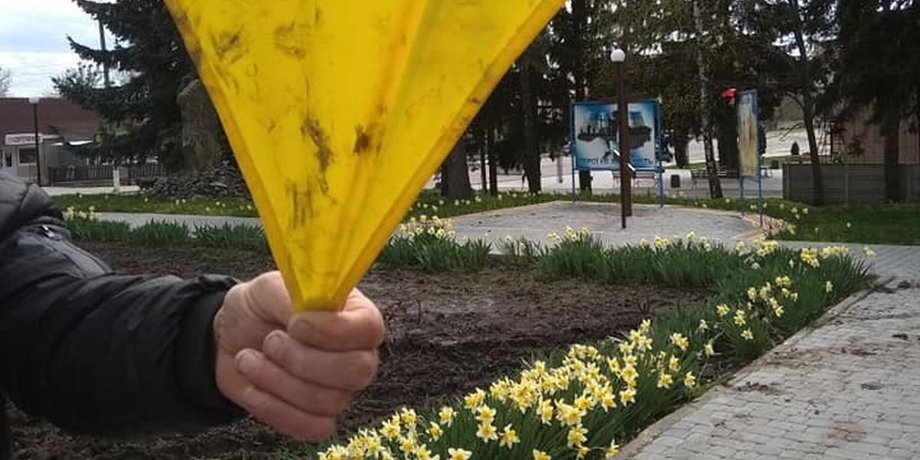 Винница, флаг, флаг Украины, надругательство,