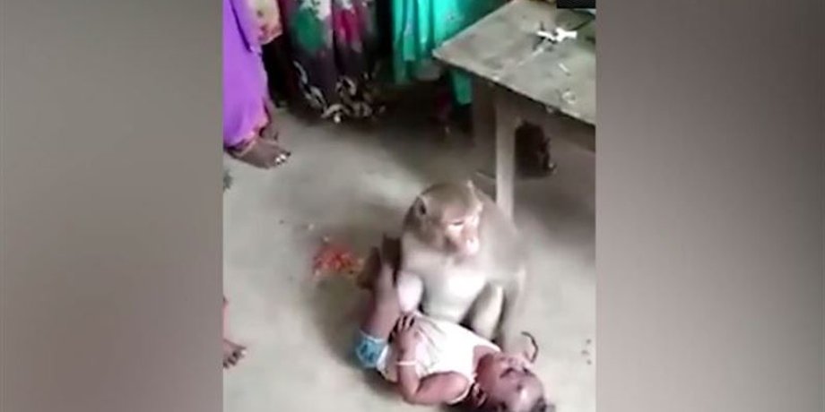 Кадр из видео