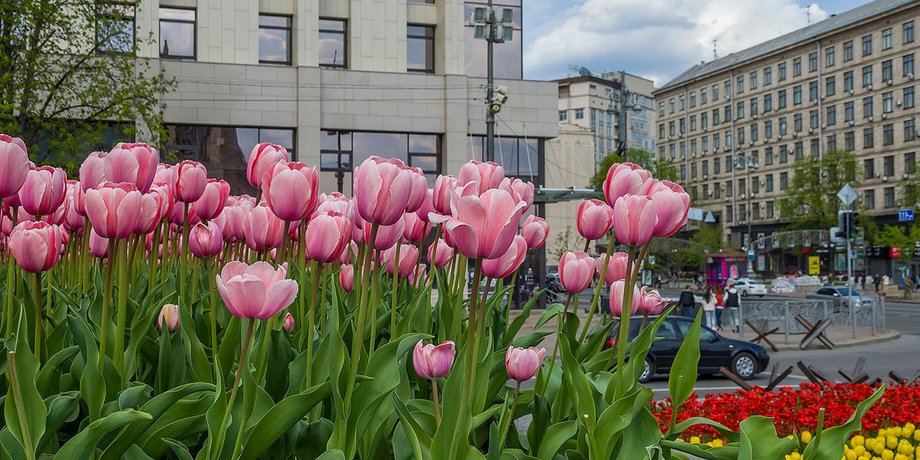 Киев