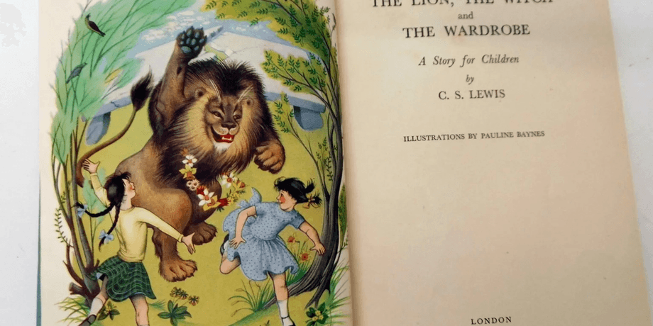 Обычная книга на распродаже оказалась ценным раритетом: почему она так ценна (фото)
