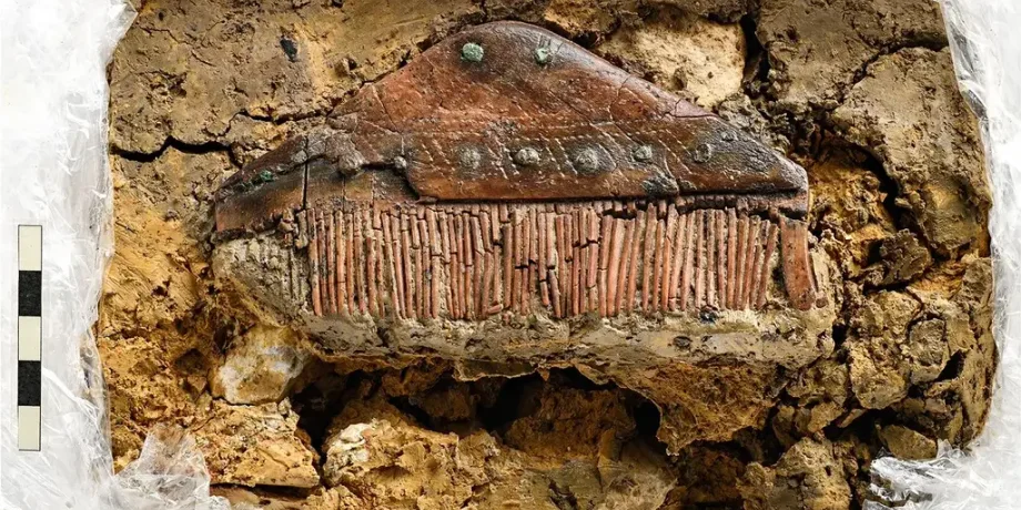 археологи, археология, раскопки, Германия, алеманы, захоронение, история, человек, останки, артефакты, находка, открытие, исследование, человек, Рейн, ученые