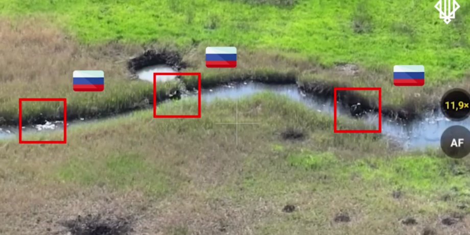 покровское направление, сс рф, нгу, спартан, плавучее наступление, вплавь, война в украине, бои на донетчине, покровск