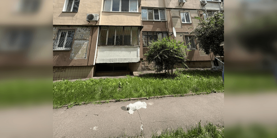 Тіло собаки, як викинули з вікна в Києві