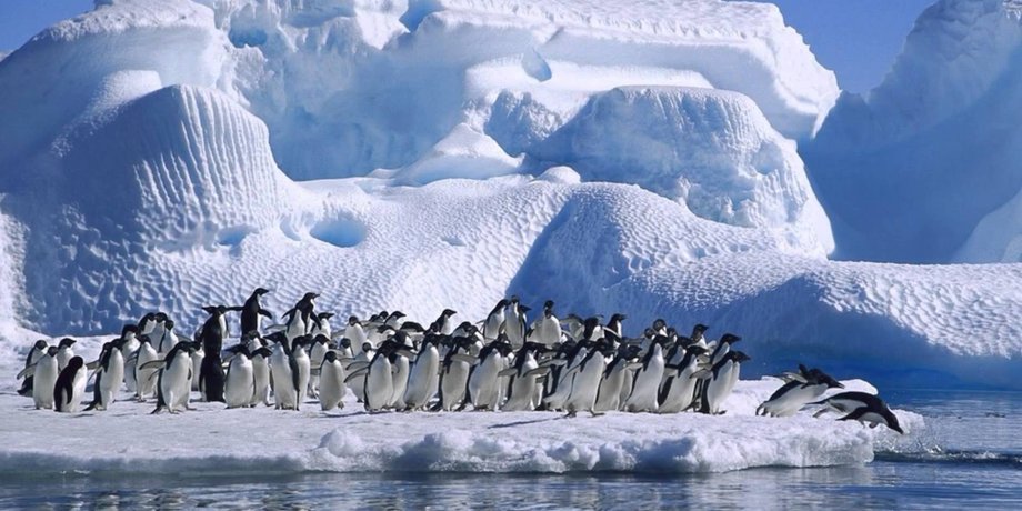 Фото: YouTube