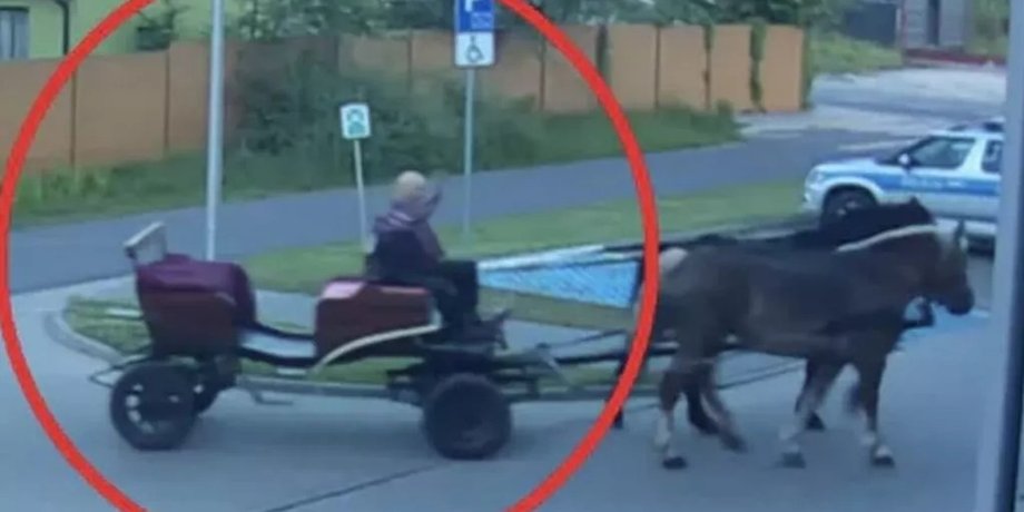 Мужчина приехал пьяным на лошади в полицию