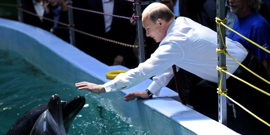 бойові дельфіни