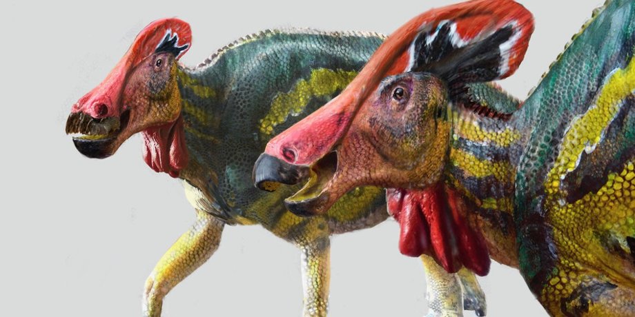 Динозавр Tlatolophus galorum