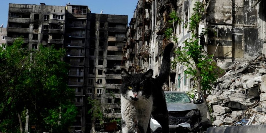 новости мариуполя, мариупольское сопротивление, партизаны, петро андрющенко, лето, ликвидация оккупантов