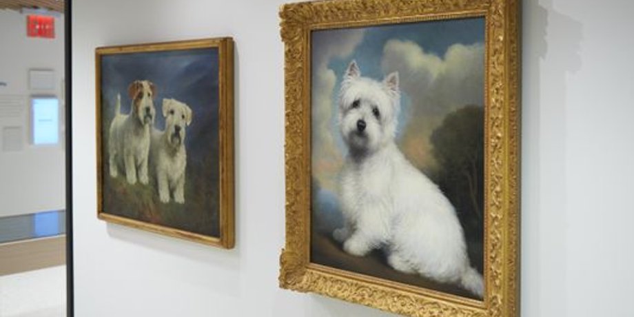 Фото: AKC Museum of the Dog