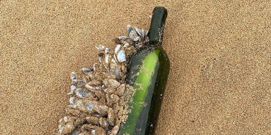 Записка от пассажира круизного лайнера, таинственное послание из прошлого, курьезы