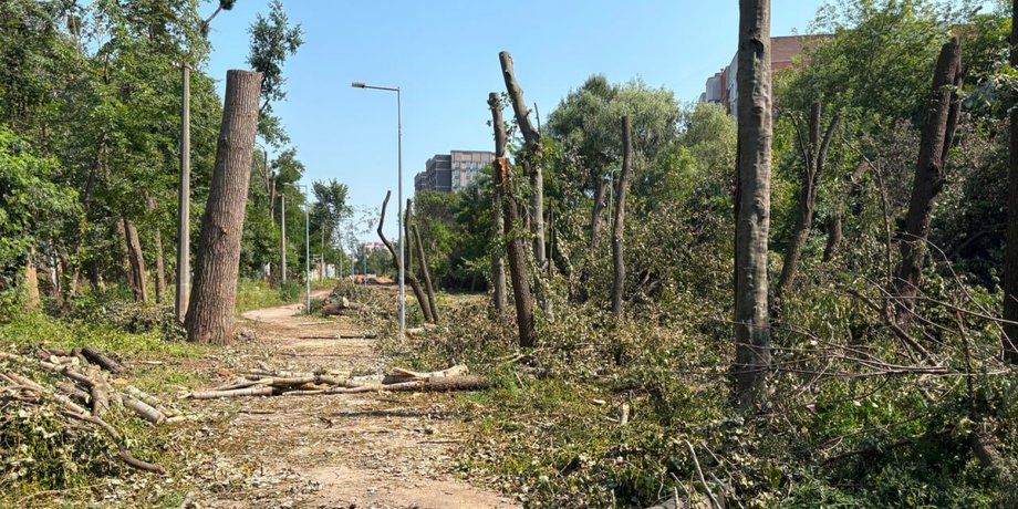 Вирубка дерев на Теремках в Києві