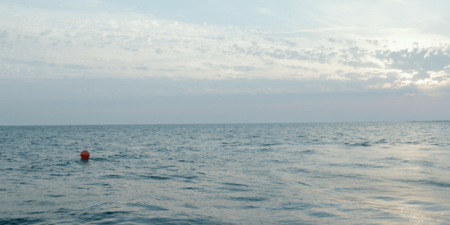 Черное море в Одессе пожелтело из-за масла