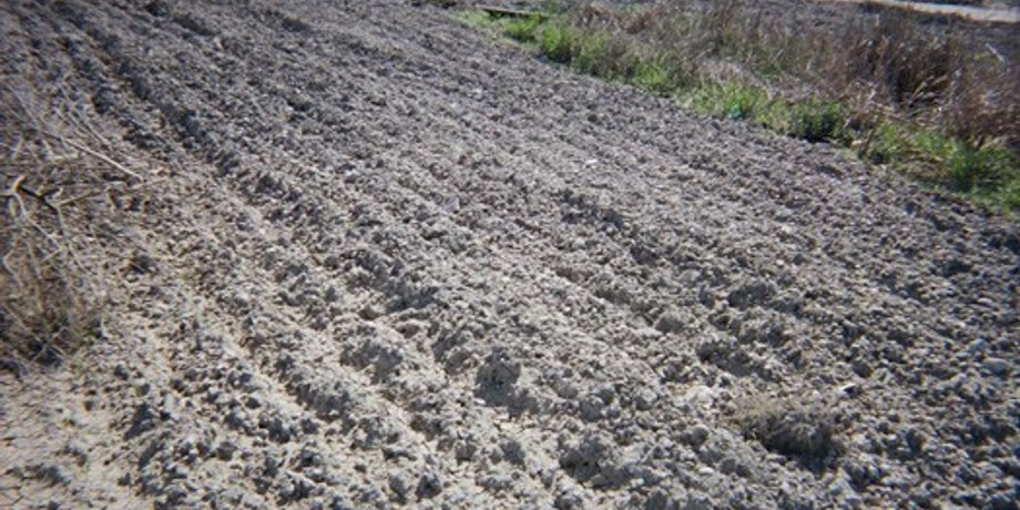 www.alabastercorp.com