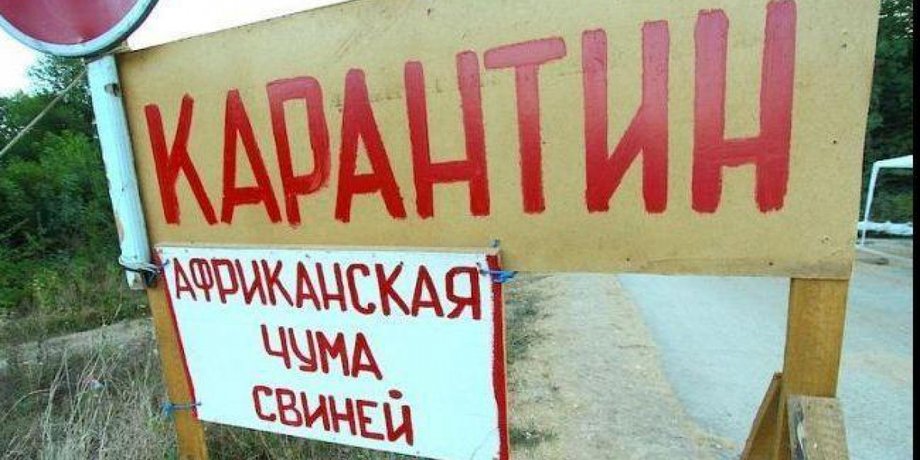 Иллюстративное фото