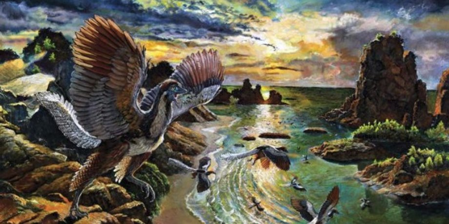 Archaeopteryx albersdoerferi а представлении художника. Иллюстрация: ZHAO CHUANG