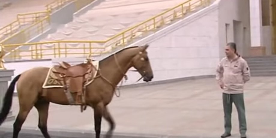 туркменистан, Ашхабад, Гурбангулы Бердымухамедов, песня, жеребенок