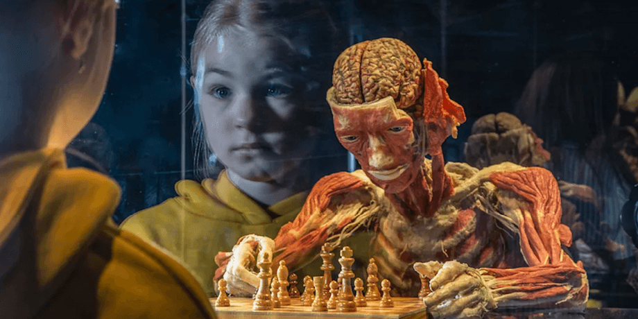 Body Worlds, выставка Body Worlds, выставка трупов