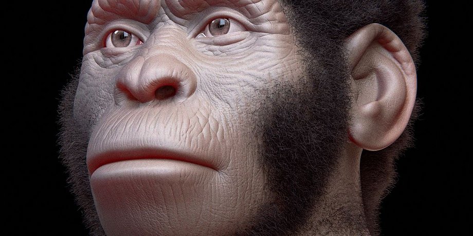 Homo naledi