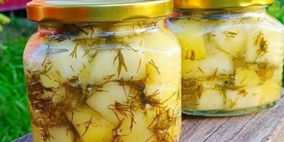 кабачки зі смаком грибів, гриби