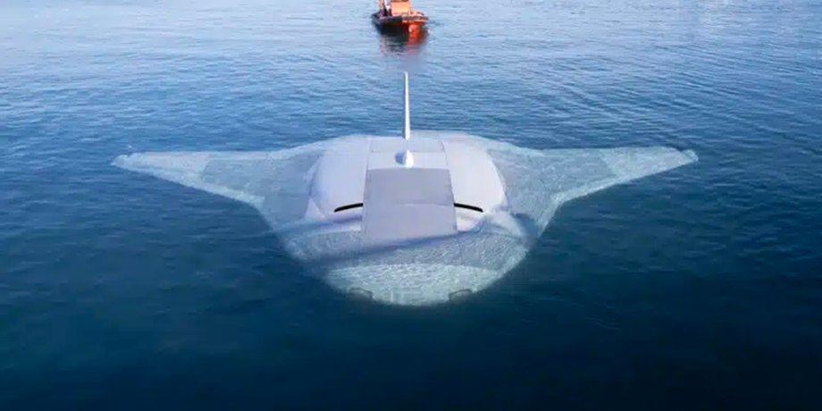 дрон Manta Ray, Manta Ray, дрон