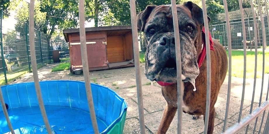 Фото: YouTube