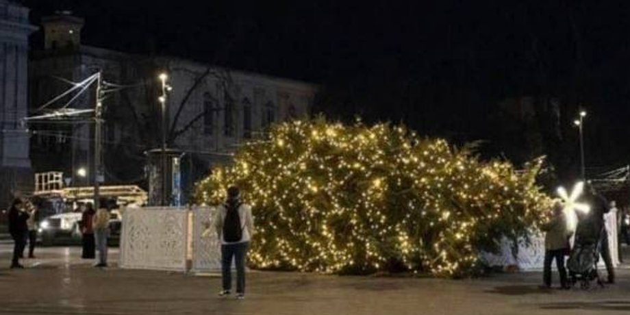Во Львове упала елка