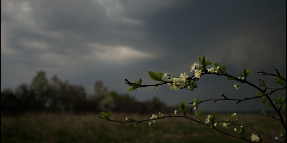 Фото: Photoforum.ru