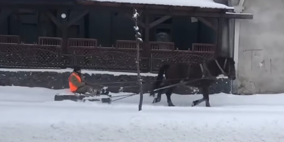 Львов, снегопады, Броды, лошадь,