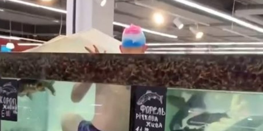 карпы, рыба, Сильпо