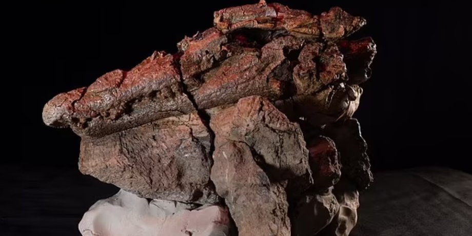 Confractosuchus sauroktonos, древний крокодил