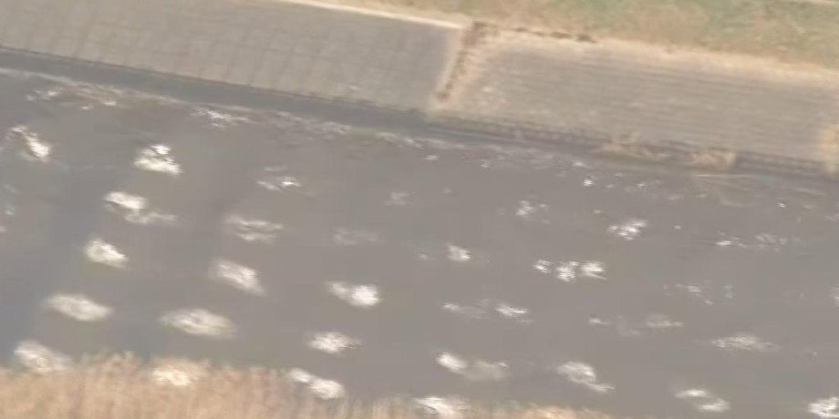 Фото: bbc.com