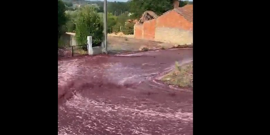 вино португалия