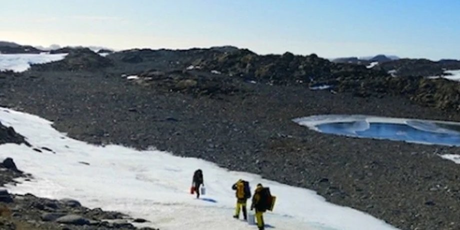 Фото: Browning Peninsula, Antarctic Sampling site. (Belinda Ferrari)